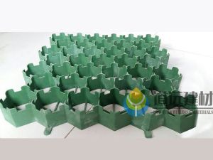 H50mm綠化植草格