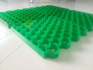 5公分平口高強度植草格